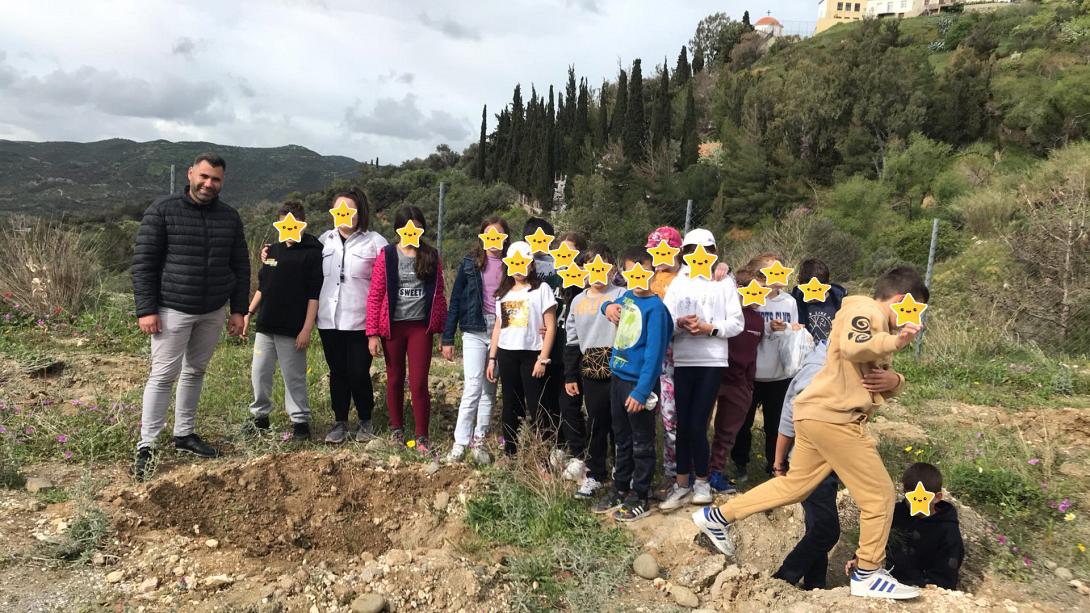 ΔΕΝΔΡΟΦΥΤΕΥΣΗ ΓΕΡΓΕΡΗ