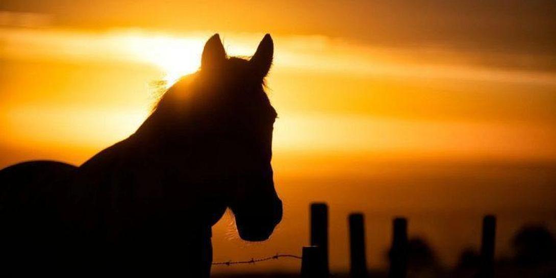 Οπτική ψευδαίσθηση