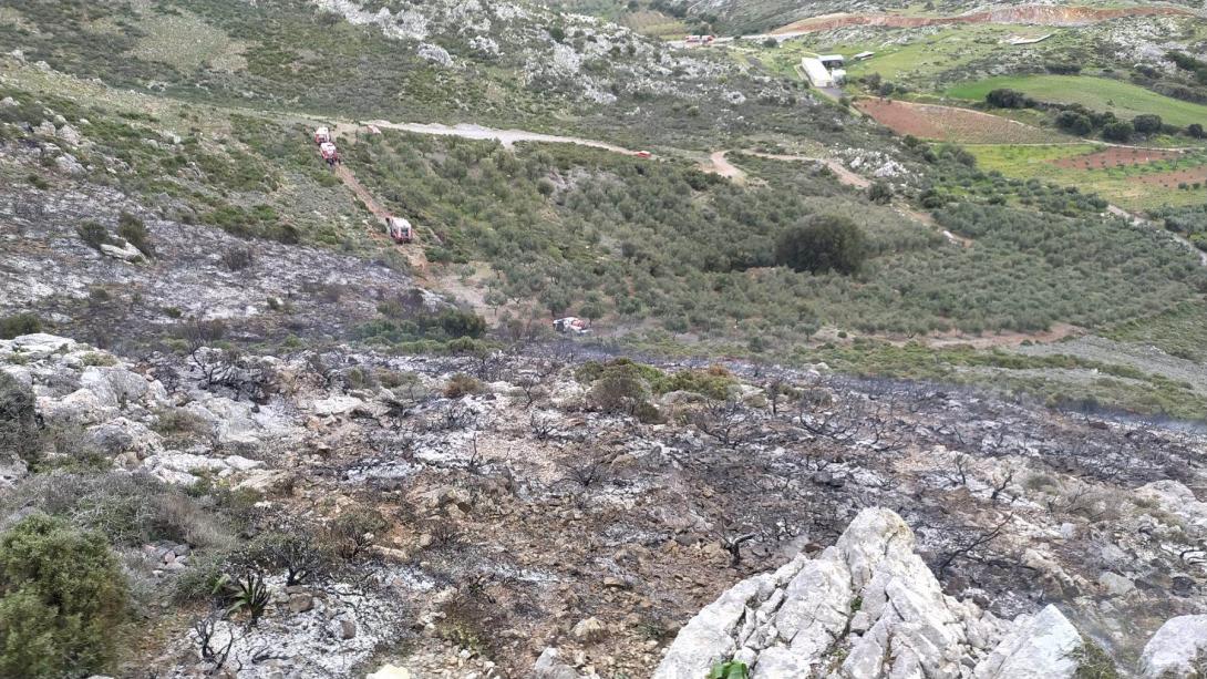 φωτια Στρουμπουλας