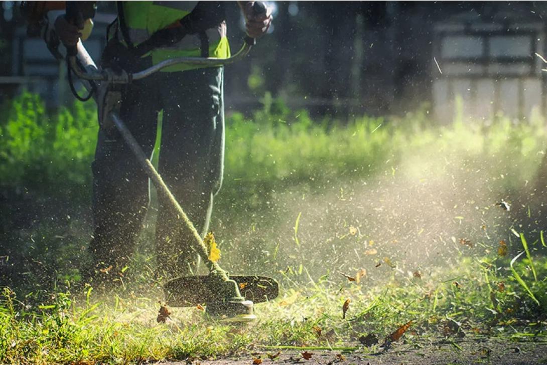 καθαρισμός οικοπέδου
