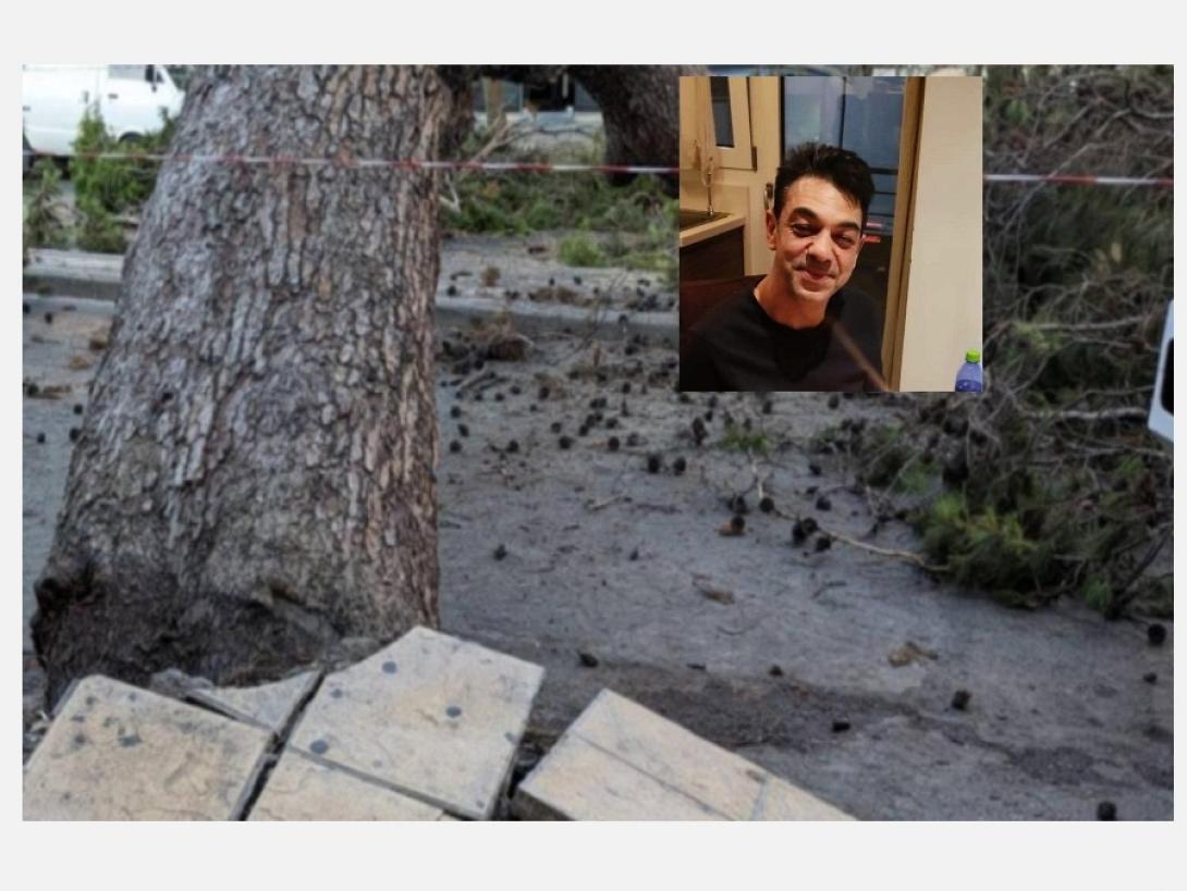 Παναγιώτης Μητρέλος