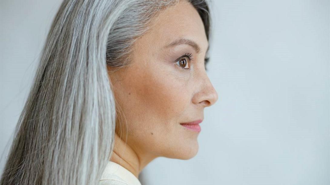 γκρίζα μαλλιά