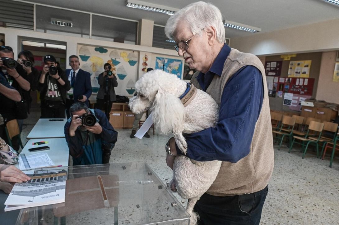 Ψηφίζει και ο σκύλος