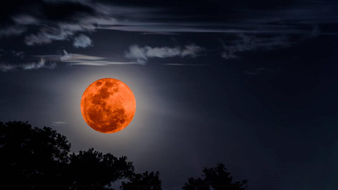 πανσεληνος