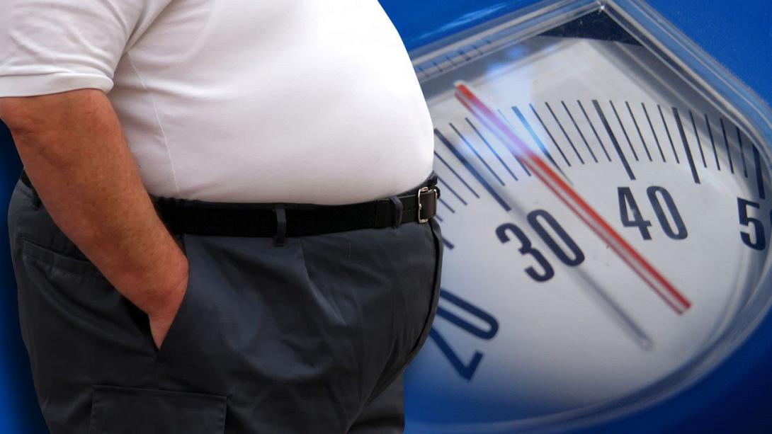 ΠΑΧΥΣΑΡΚΙΑ