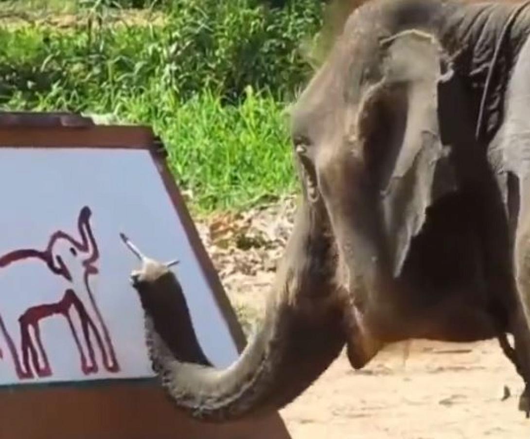 ελεφαντα ζωγραφος