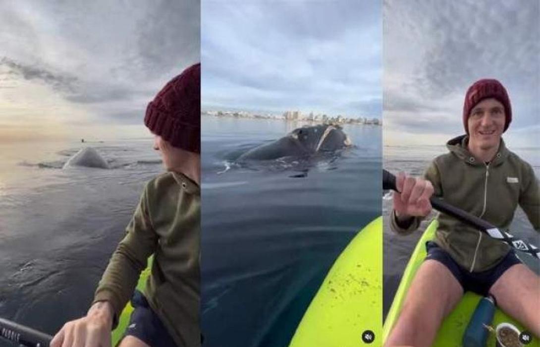 καγιακ φαλαινα