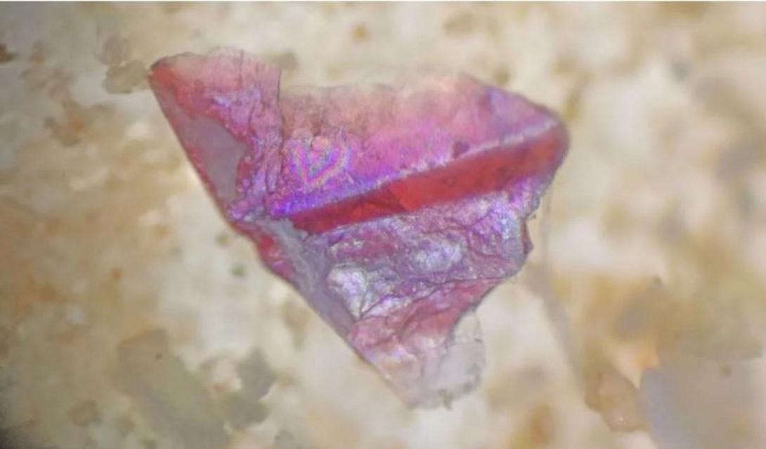 μικροπλαστικα