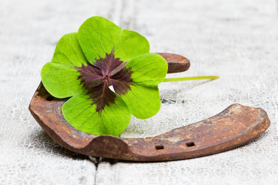 καλή τύχη καλοτυχία