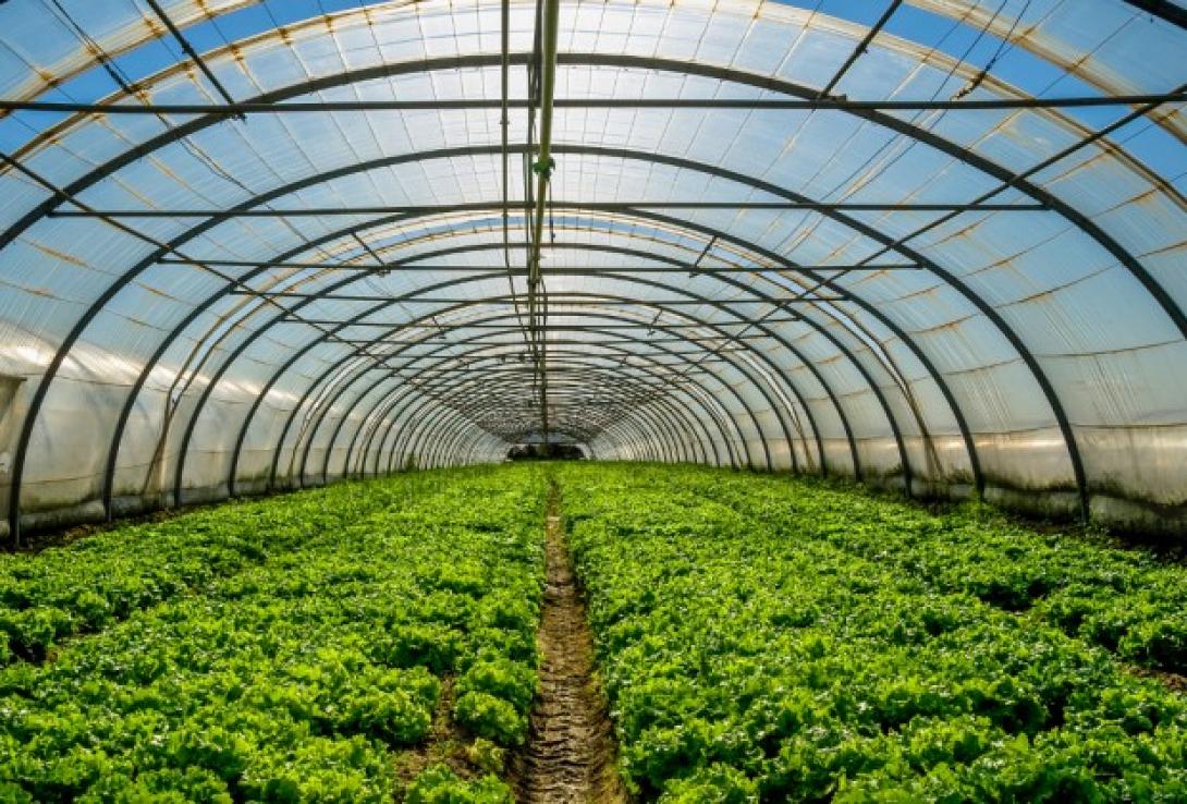 θερμοκήπια