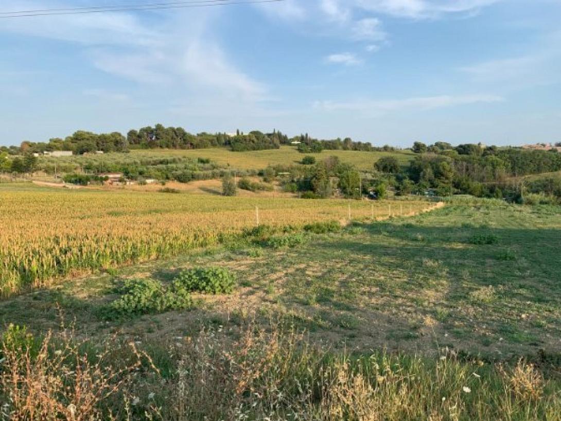 χωράφι αγροτεμάχιο