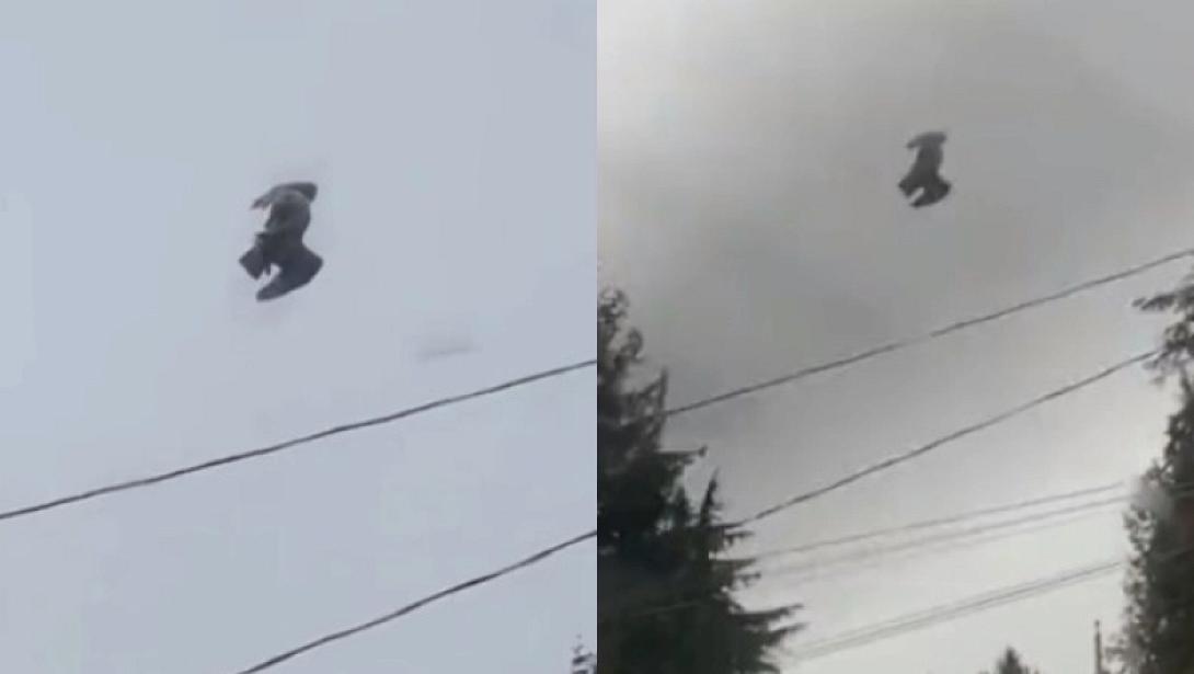 περιστερι βίντεο