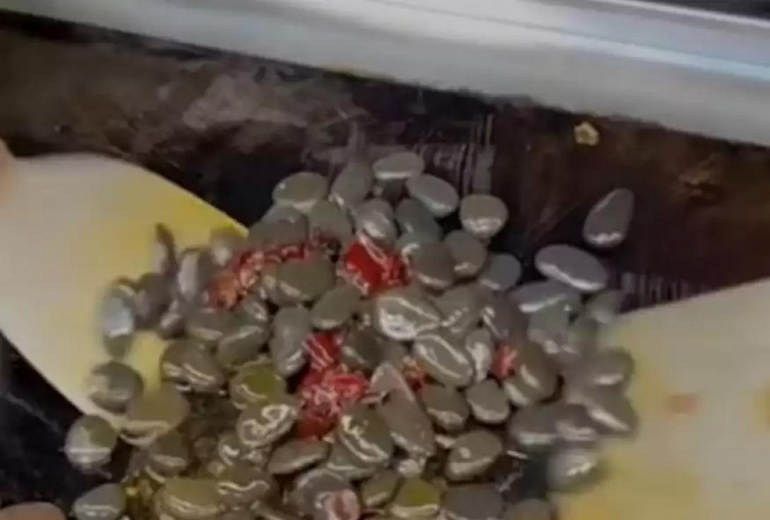 Τηγανητές πέτρες στην Κίνα