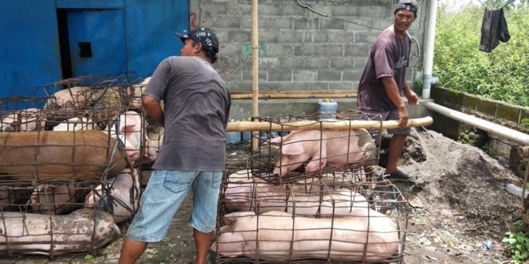 Κίνα καύσωνας