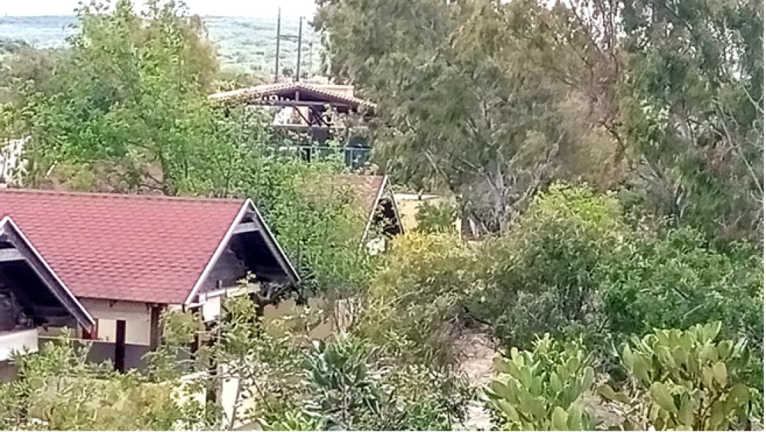 κατασκηνωση ιακ