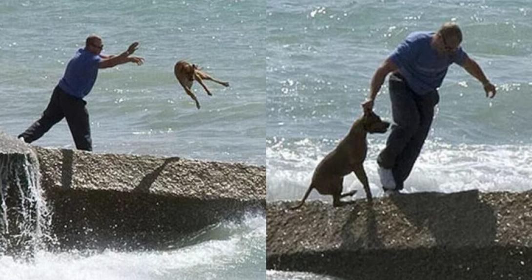 σκυλος στην θαλασσα