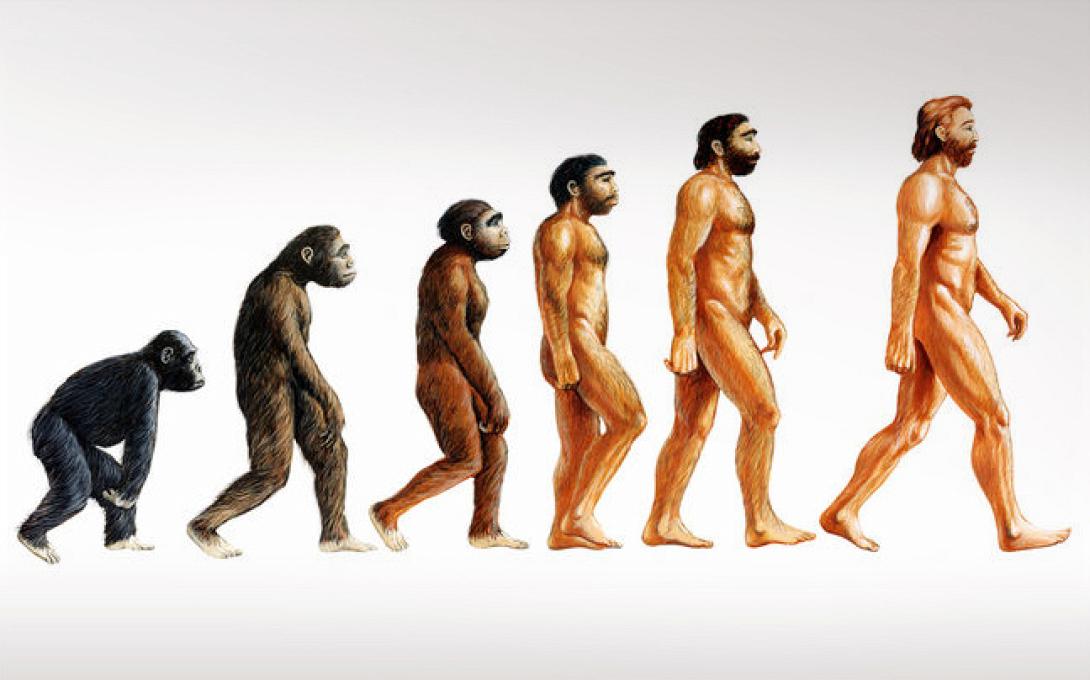 εξελιξη ανθρωπου