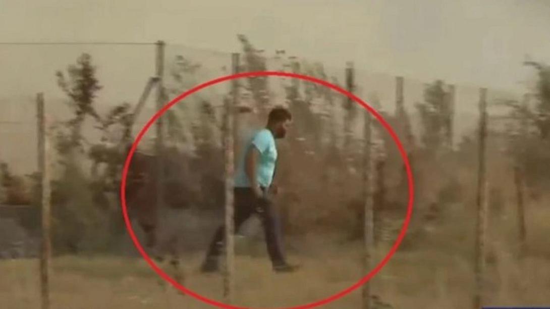 βοσκος, μαγνησια