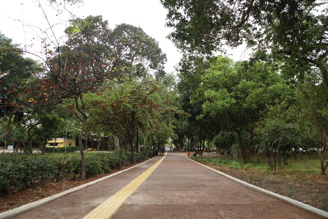 πάρκο γεωργιάδη