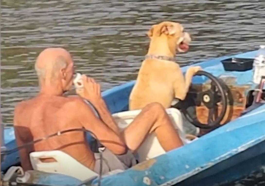 ΣΚΥΛΟΣ ΟΔΗΓΟΣ