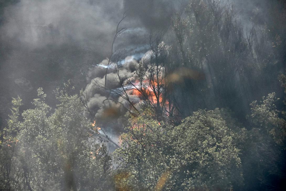 Βόλος - Πυρκαγιά