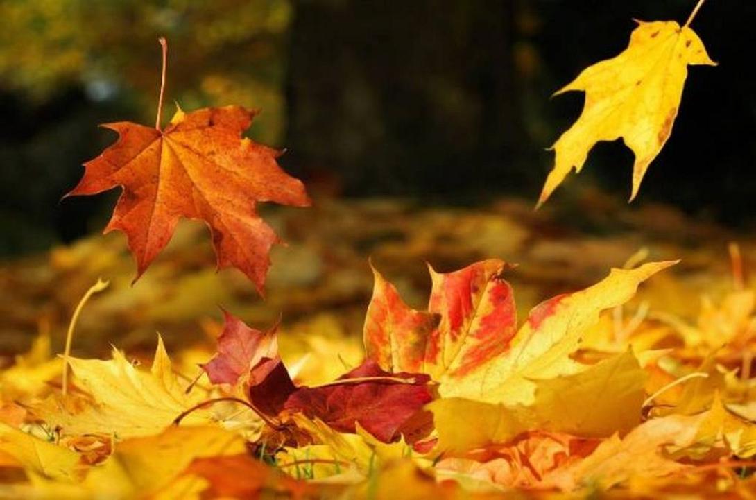 Σεπτέμβριος 