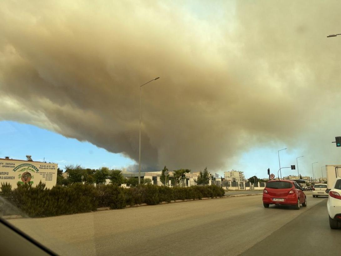 ΦΩΤΙΑ ΑΛΕΞΑΝΔΡΟΥΠΟΛΗ