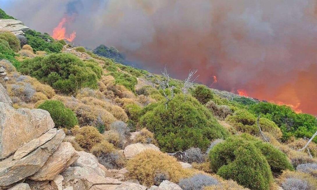 Φωτιά στην Ανδρο