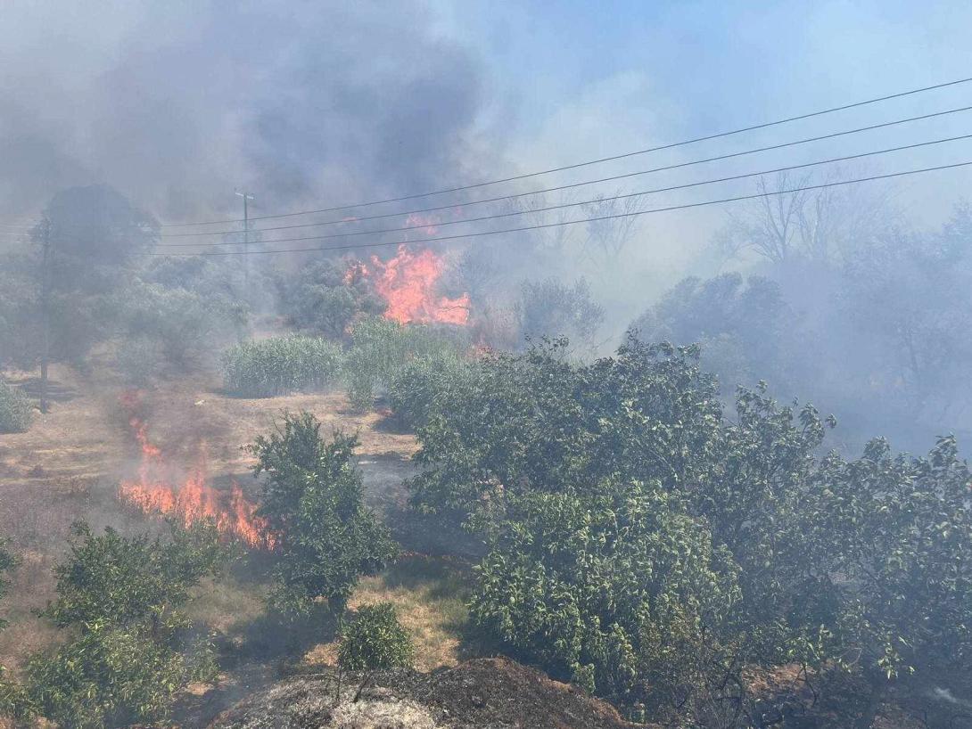 Φωτιά στο Ασήμι