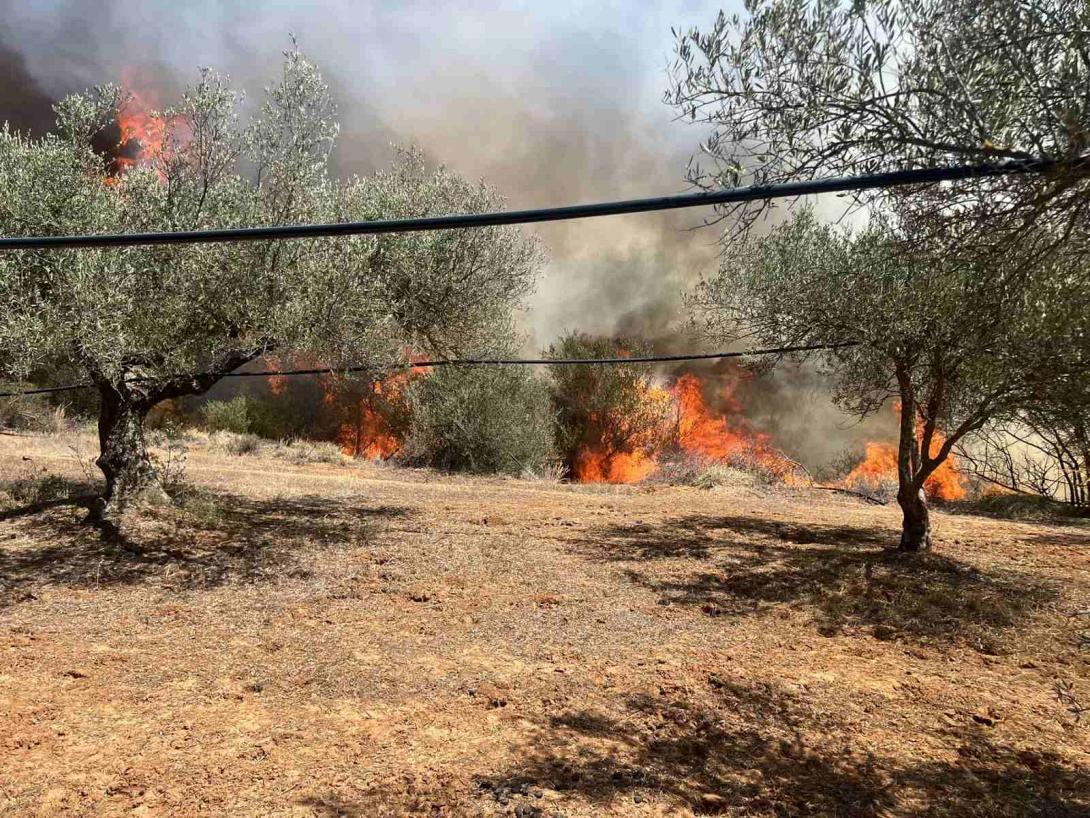 Φωτιά στο Ασήμι