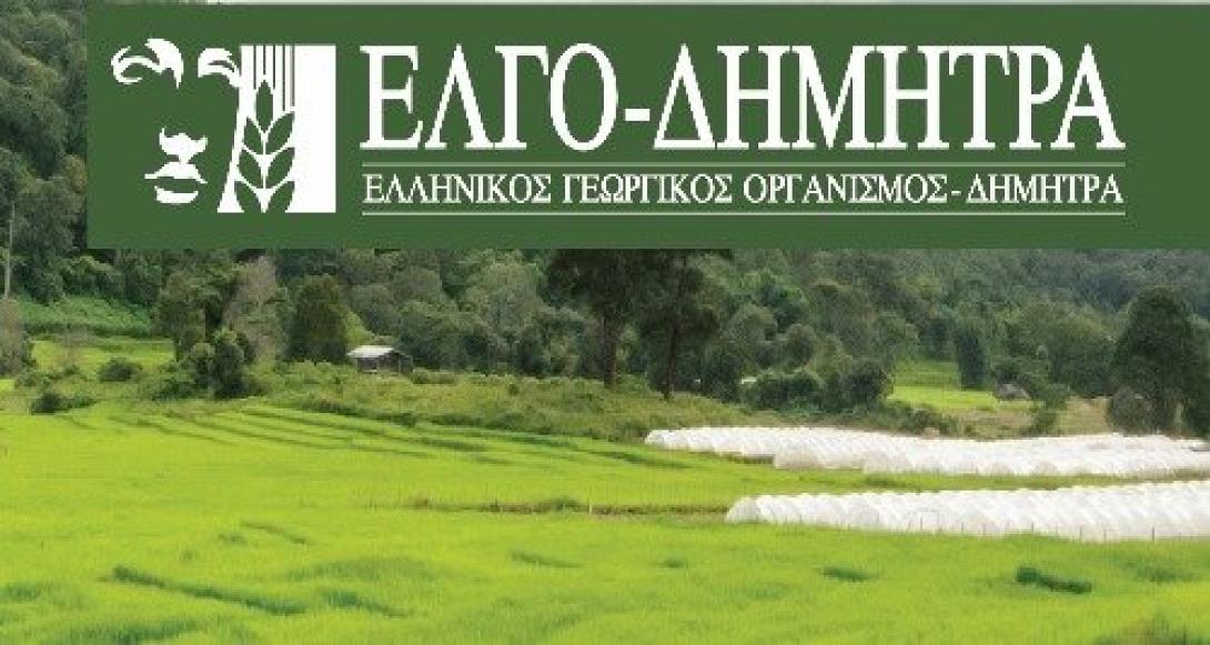 ΕΛΓΟ Δήμητρα