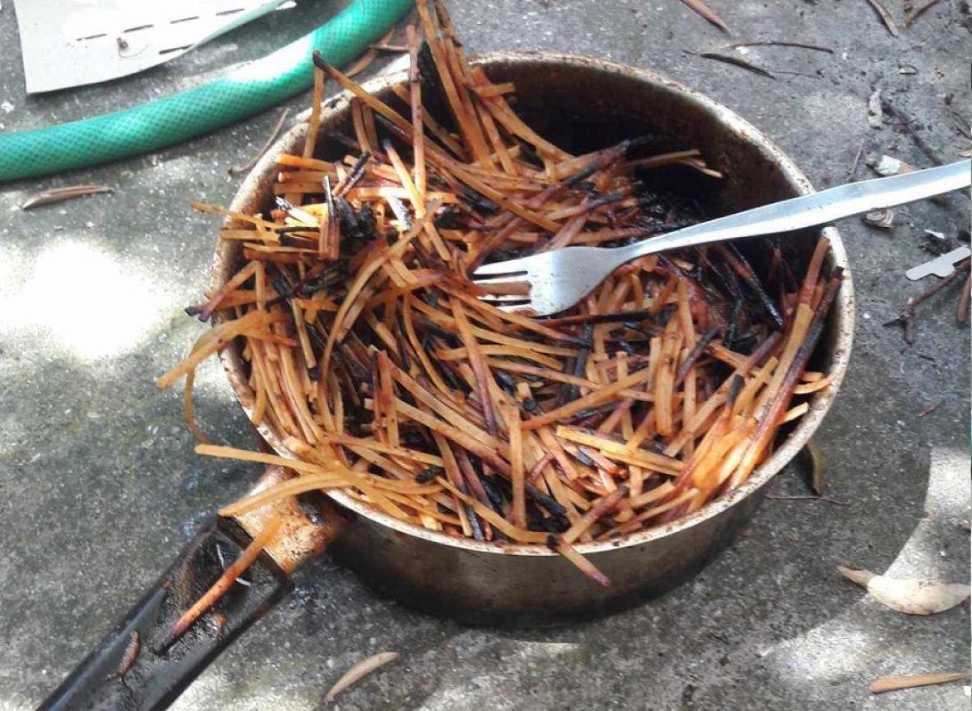 μακαρόνια φωτιά