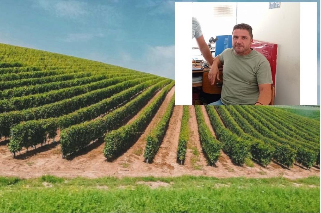 καμπιτακης