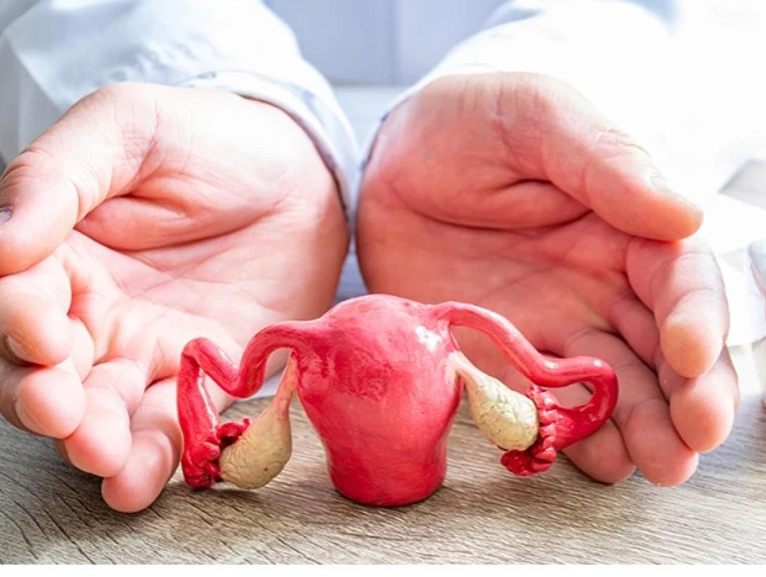 μεταμόσχευση μήτρας