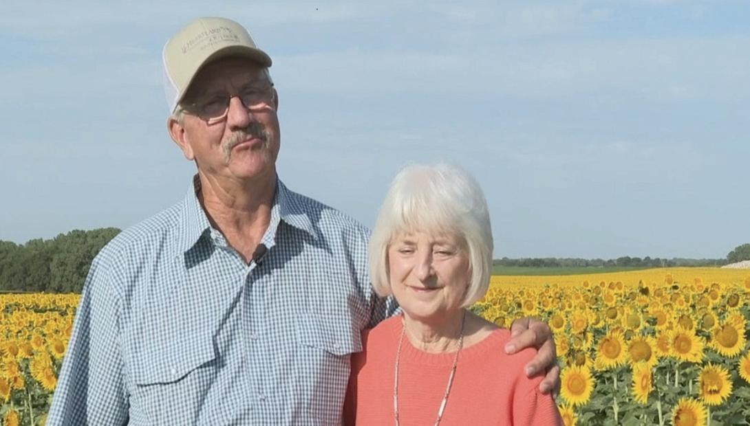 αγροτης ηλιοτροπια