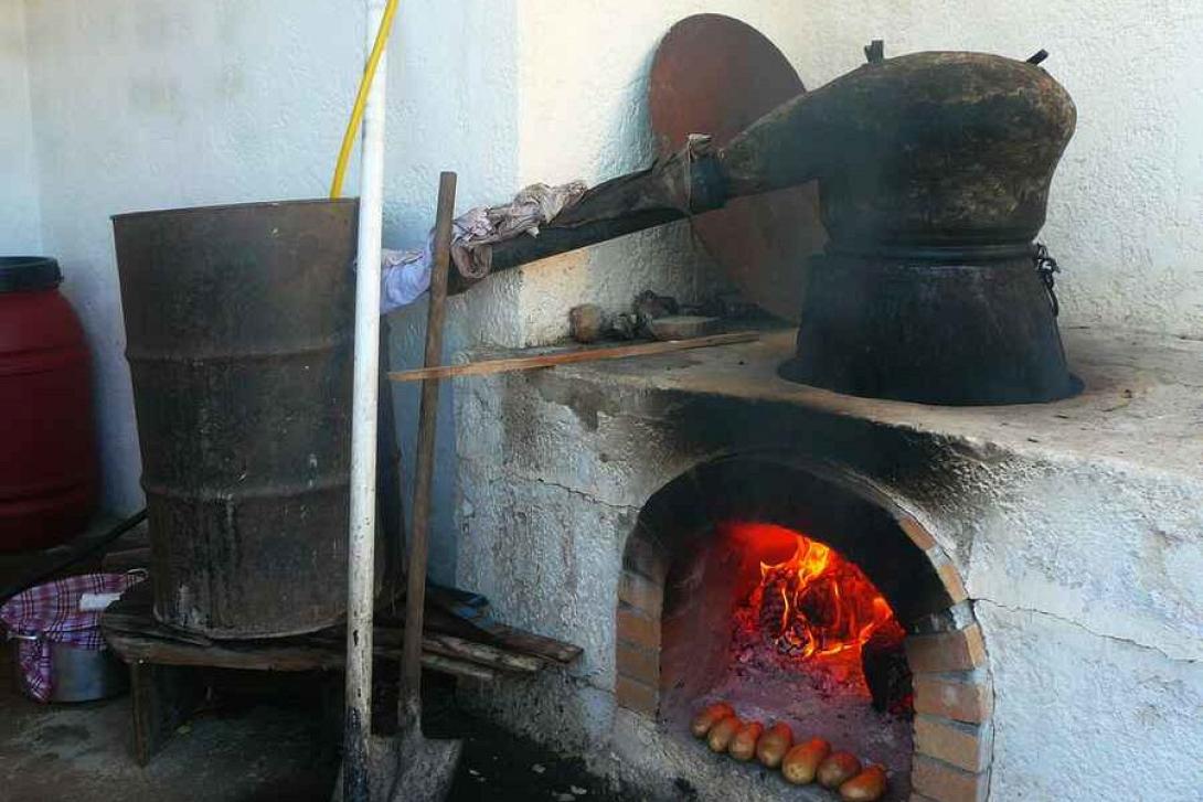 ΚΑΖΑΝΙ - ΤΣΙΚΟΥΔΙΑ