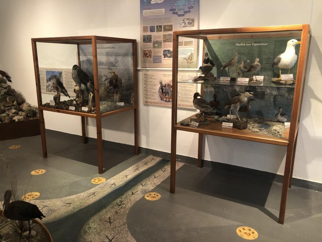 Μουσείο Γεργερης