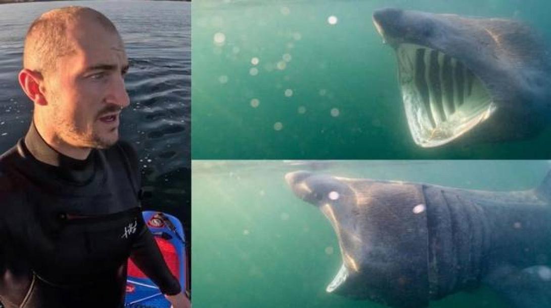 28χρονος - Καρχαρίας 