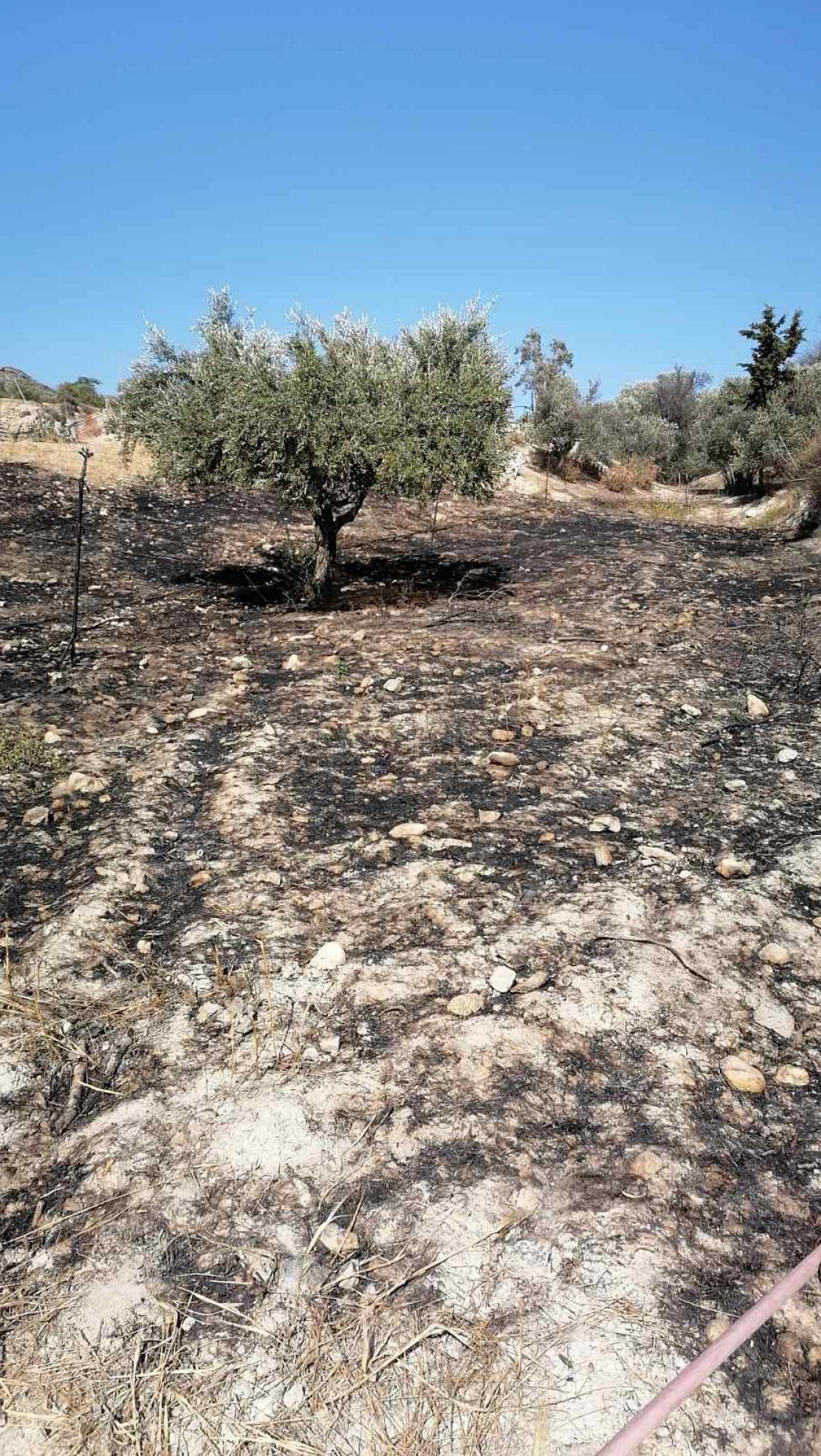 Ηράκλειο: Συναγερμός στην Πυροσβεστική για πυρκαγιά