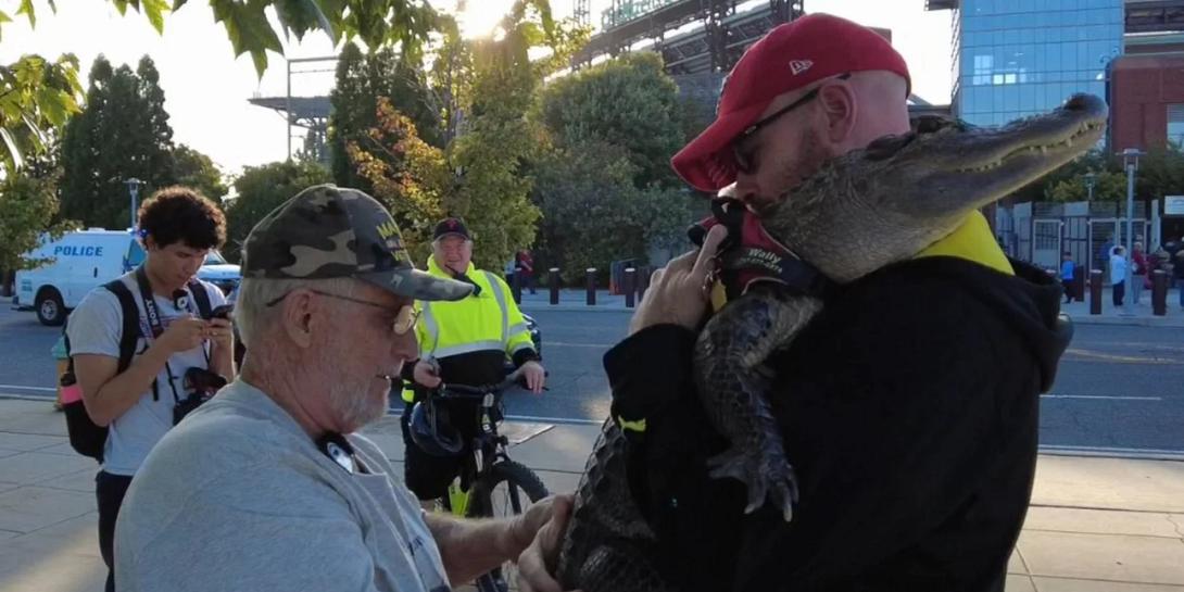 αλιγατορας
