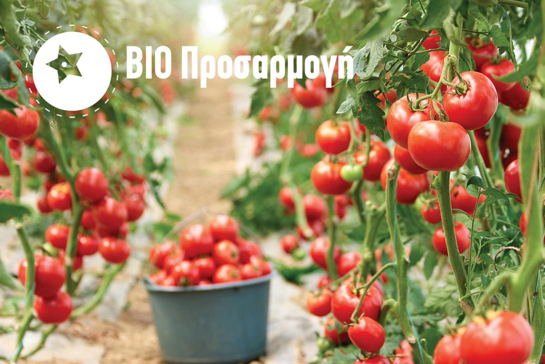 ΒΙΟ-ΠΡΟΣΑΡΜΟΓΗ