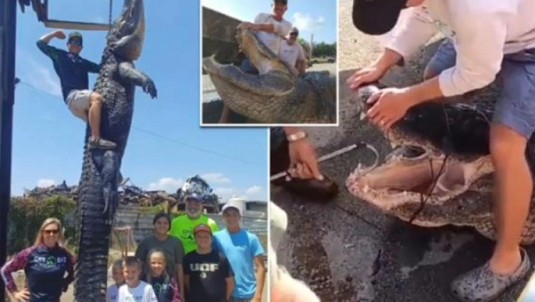 κροκοδειλος