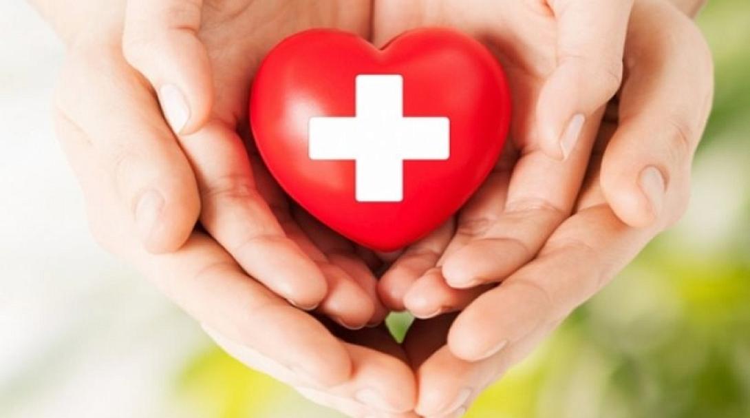 δωρεα μυελου