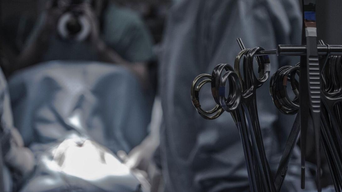 μεταμοσχευση