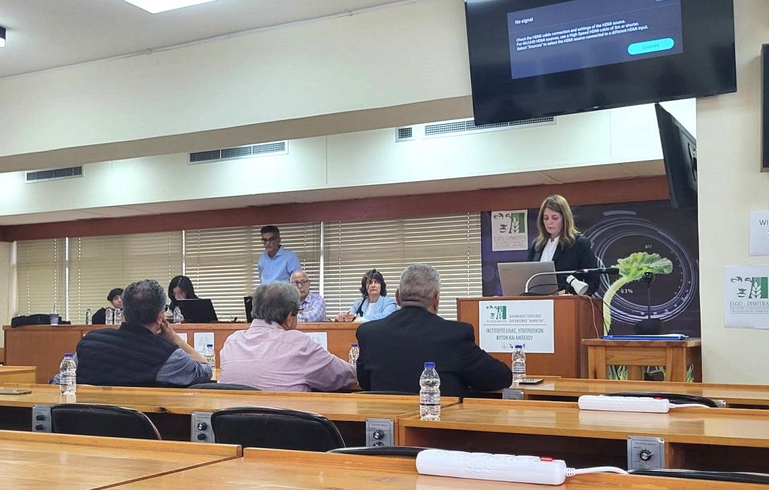 περιφερεια