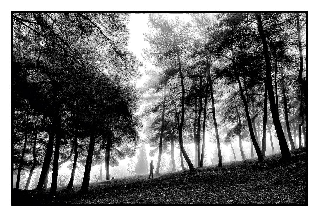 ΕΦΕ Ηρακλείου