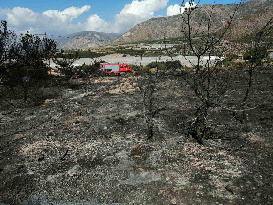 Κρήτη: Συναγερμός στην πυροσβεστική για φωτιά στο Ελαφονήσι