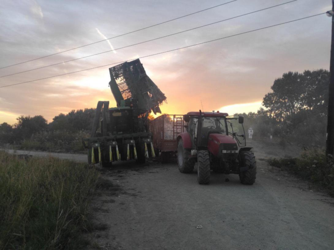 ΗΛΕΚΤΡΟΠΛΗΞΙΑ