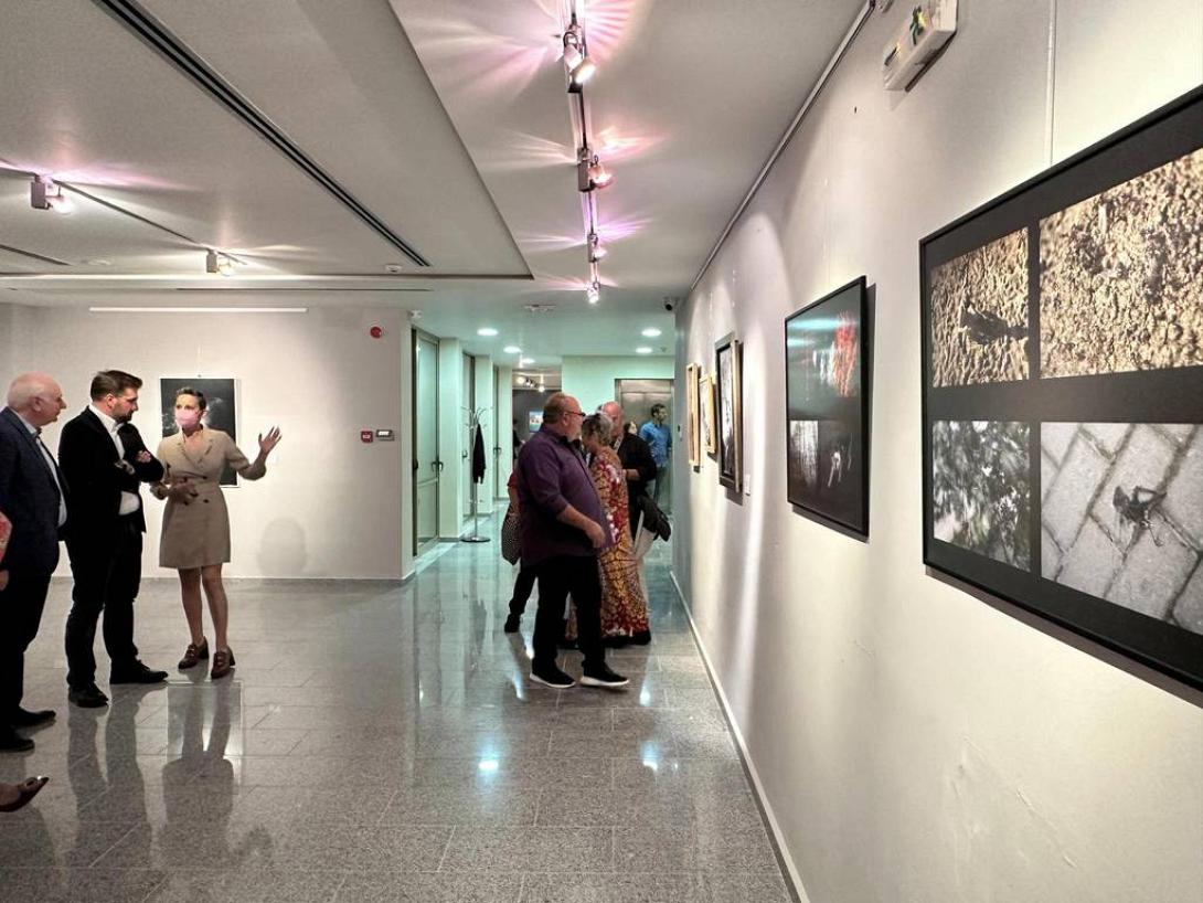 Δημοτική Πινακοθήκη Μαλεβιζίου 