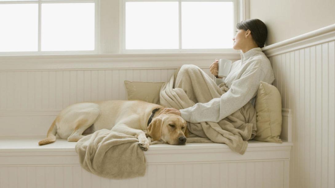 συναισθηματικη διαταραχη